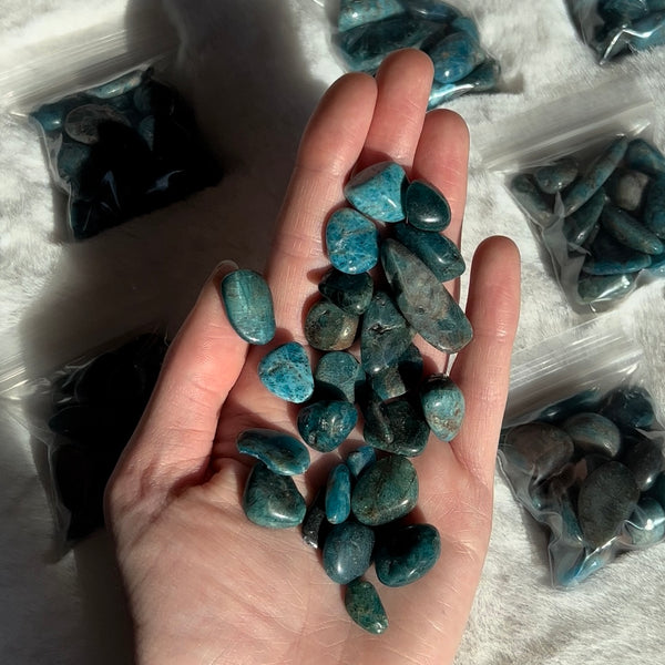 Blue Apatite Grab Bag